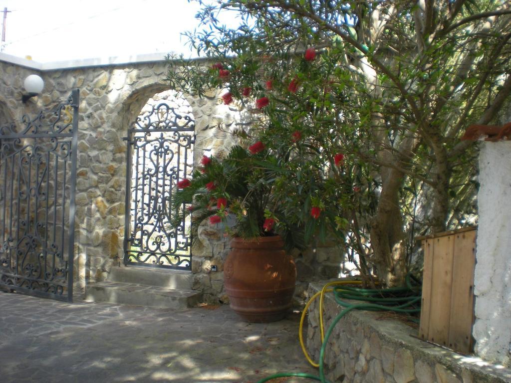 Villa Pina Ponza Extérieur photo